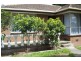 4 Hayes Court, Dandenong North VIC 3175