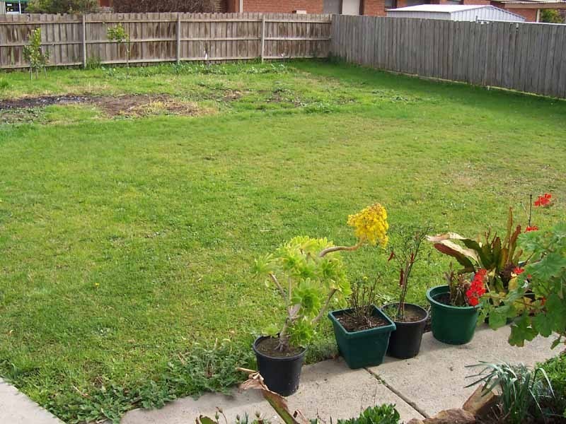 15 Hyssop Drive, Hallam VIC 3803