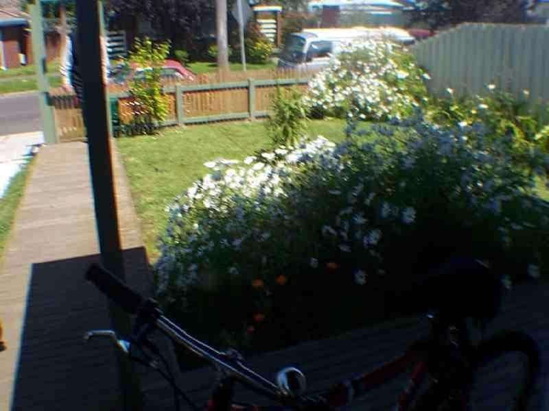 19 Wilson Street, Dandenong VIC 3175