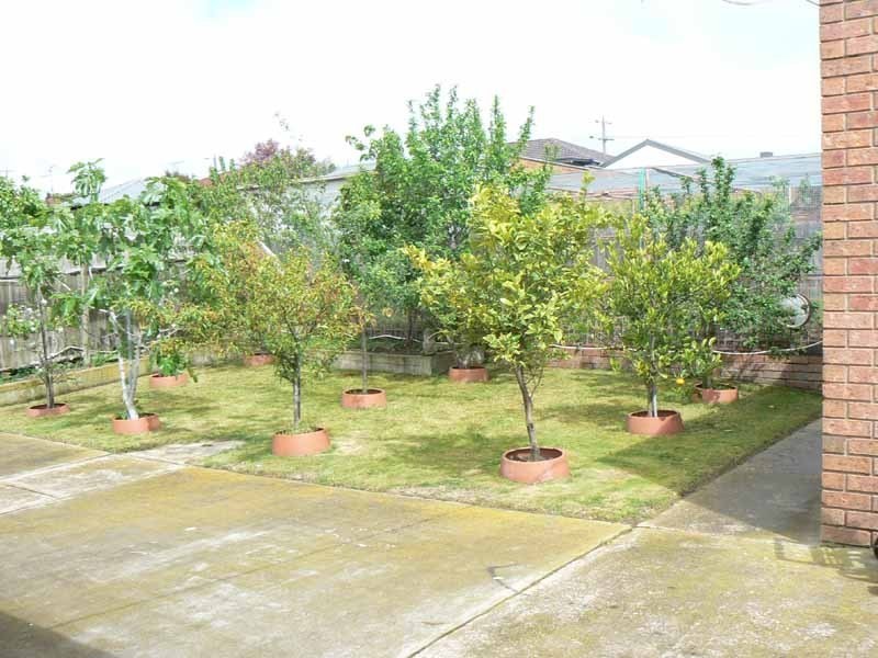 7 Weeden Crescent, Hallam VIC 3803