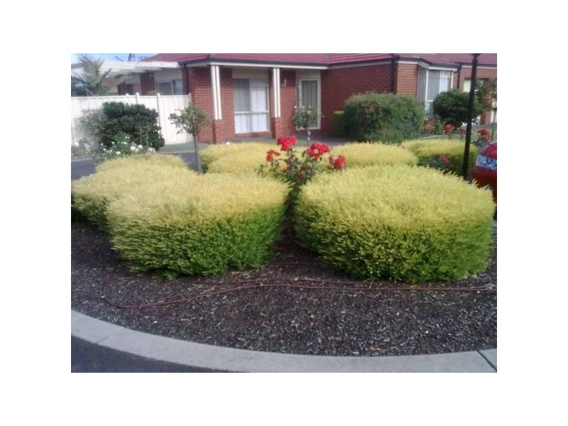 17 Cypress Grove, Dandenong North VIC 3175