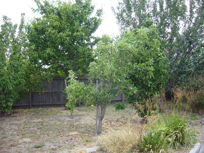 3 Dallimore Court, Noble Park VIC 3174