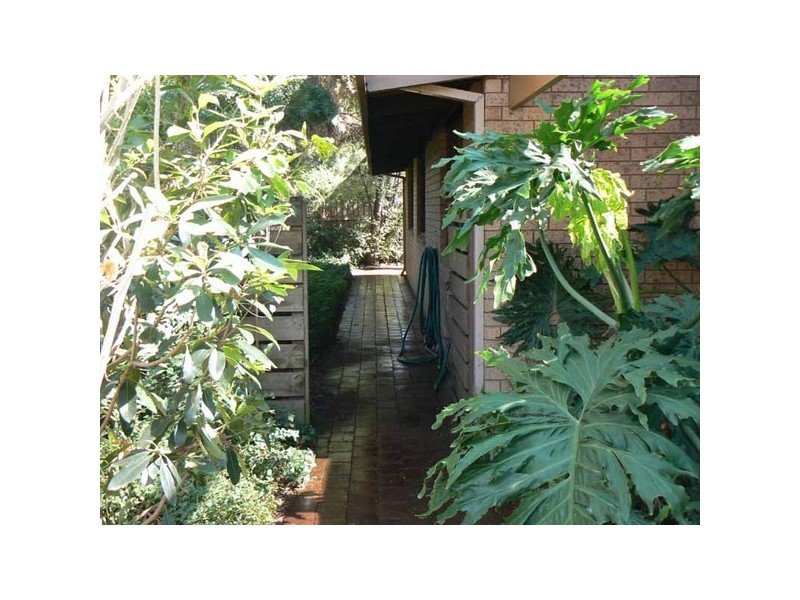 46 Cheam Street, Dandenong North VIC 3175