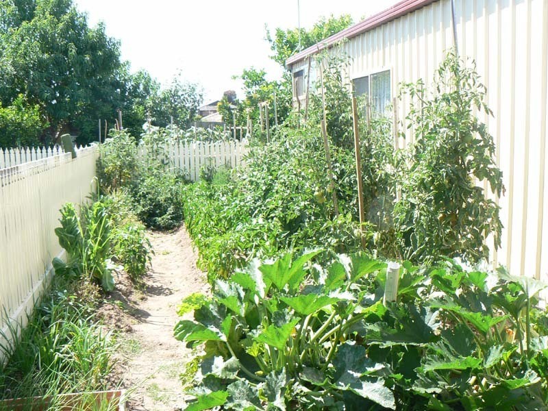 38 Carlisle Road, Hallam VIC 3803