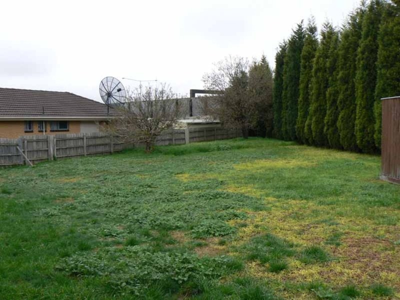 65 Blaxland Drive, Dandenong North VIC 3175