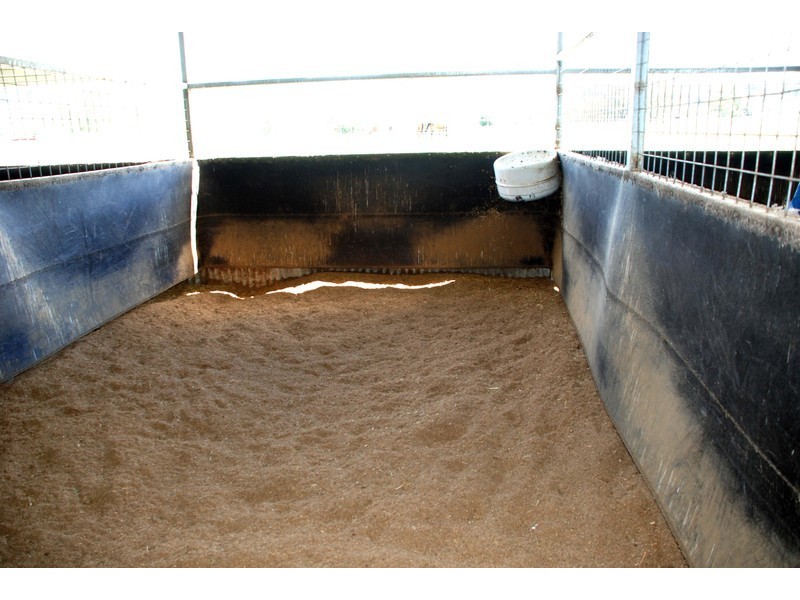 Lot 351 William Street, Moonbi NSW 2353