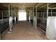 Lot 351 William Street, Moonbi NSW 2353