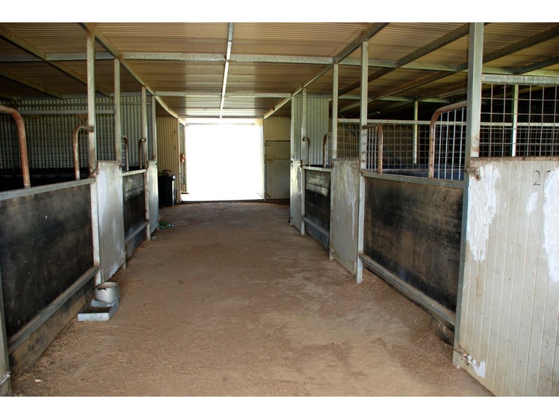 Lot 351 William Street, Moonbi NSW 2353