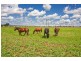 ‘Granville’ Gunnedah Road, Tamworth NSW 2340