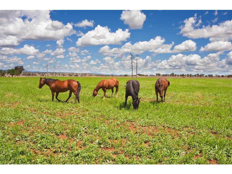 ‘Granville’ Gunnedah Road, Tamworth NSW 2340