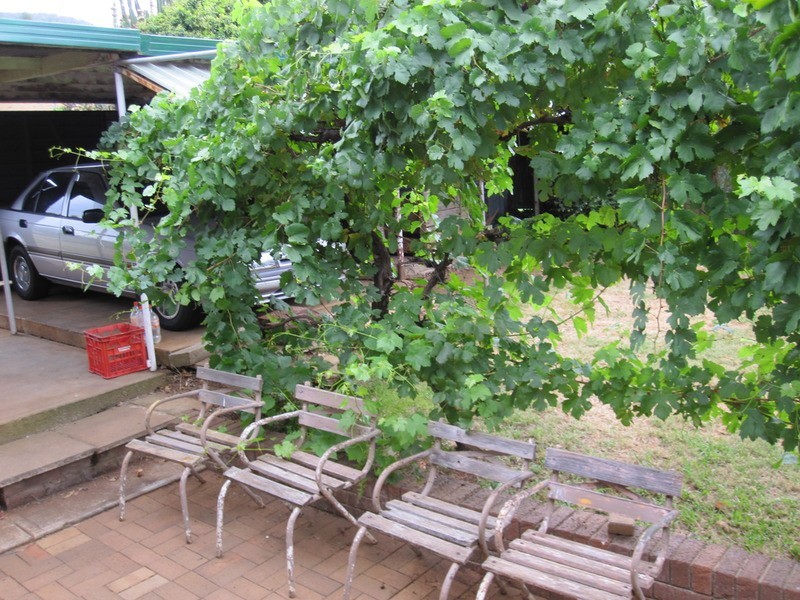 17 Chelmsford Street, East Tamworth NSW 2340