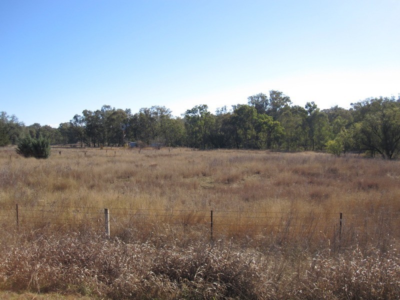 181 Wollanda Road, Tintinhull NSW 2352