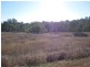 181 Wollanda Road, Tintinhull NSW 2352