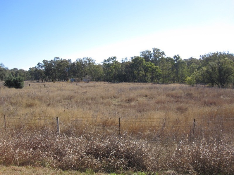 181 Wollanda Road, Tintinhull NSW 2352