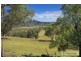 223 Yarrol Road, Tamworth NSW 2340