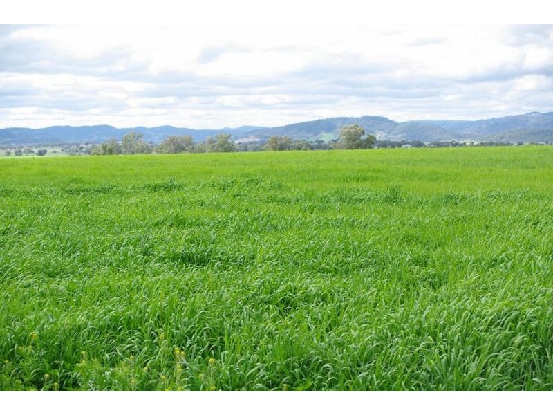 Tamworth NSW 2340