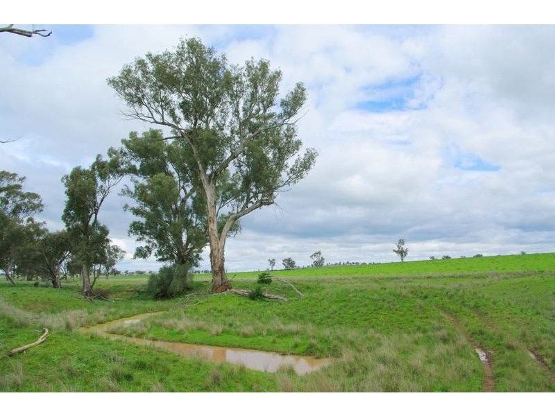 Tamworth NSW 2340
