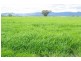 Tamworth NSW 2340