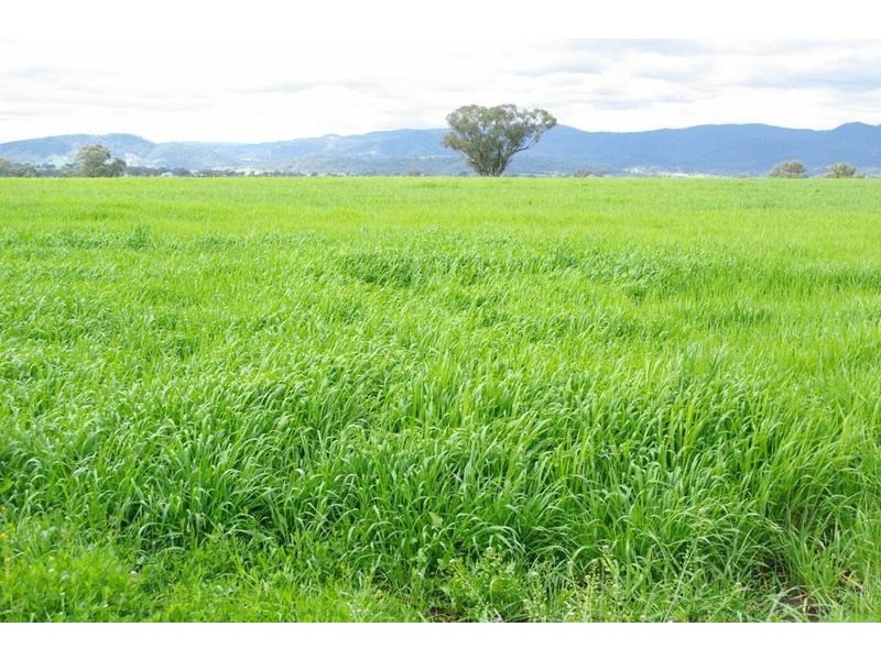 Tamworth NSW 2340