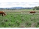 Tamworth NSW 2340
