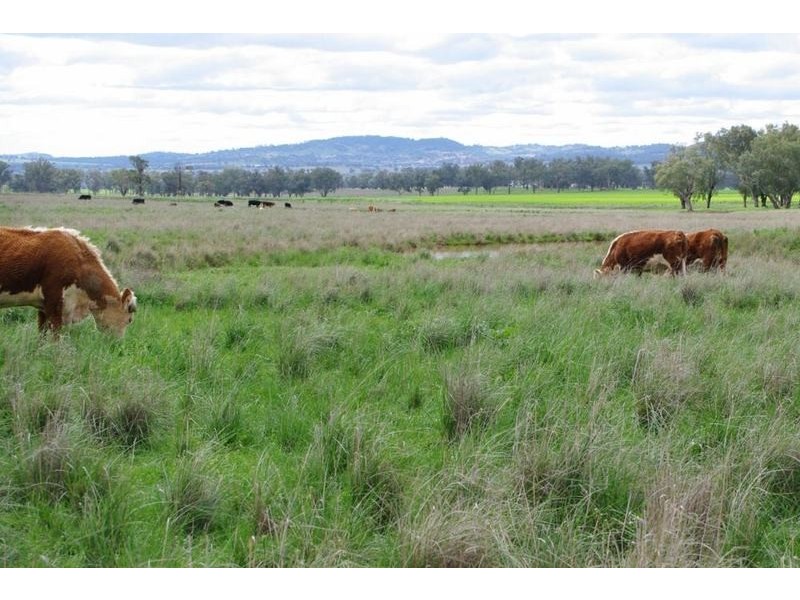 Tamworth NSW 2340