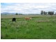 Tamworth NSW 2340