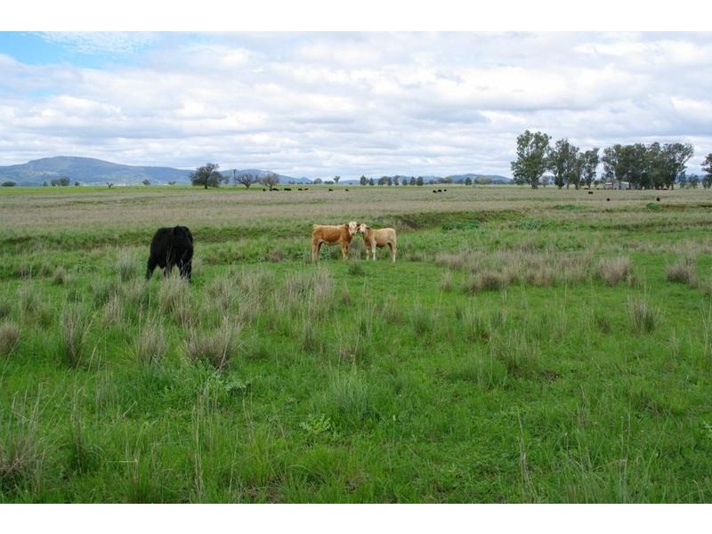 Tamworth NSW 2340