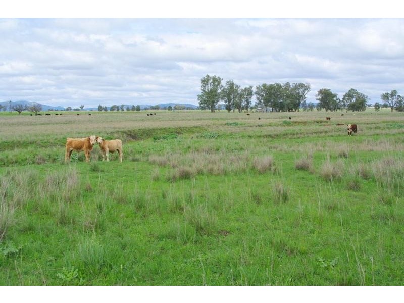 Tamworth NSW 2340