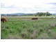 Tamworth NSW 2340