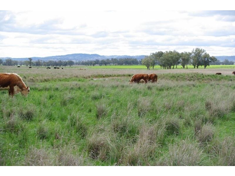 Tamworth NSW 2340
