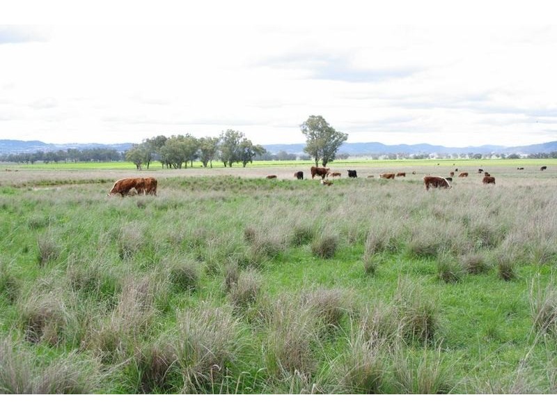 Tamworth NSW 2340