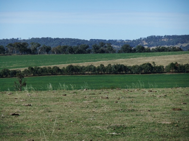 “Trainview” Woolbrook, Woolbrook NSW 2354