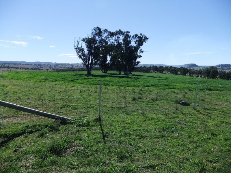 “Trainview” Woolbrook, Woolbrook NSW 2354