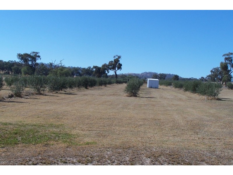 900 Manilla Road, Hallsville NSW 2340