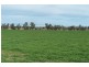 173 Lower Somerton Road, Attunga NSW 2345