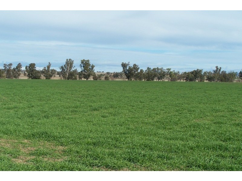 173 Lower Somerton Road, Attunga NSW 2345