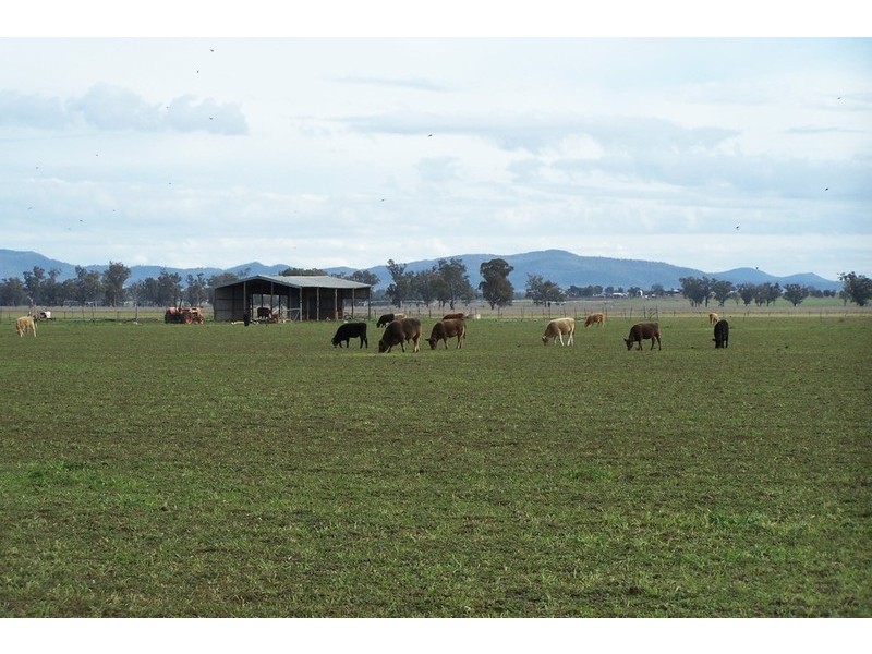 173 Lower Somerton Road, Attunga NSW 2345