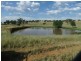 Babinboon Babinboon Lane, Somerton NSW 2340