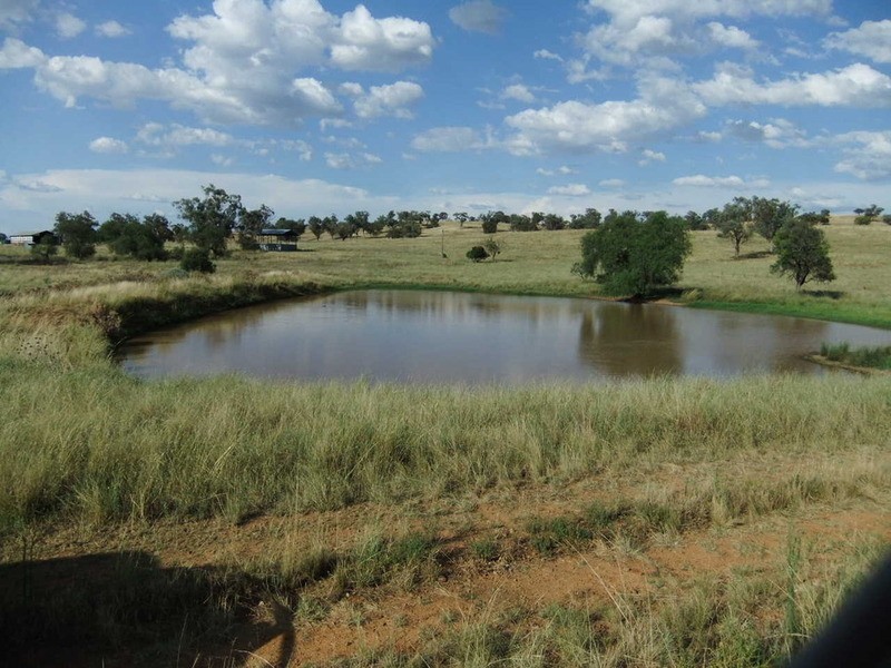 Babinboon Babinboon Lane, Somerton NSW 2340