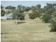 Babinboon Babinboon Lane, Somerton NSW 2340