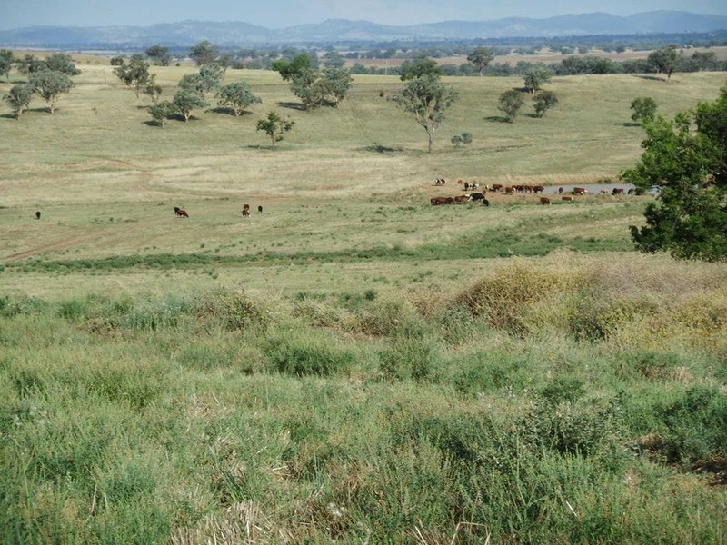 Babinboon Babinboon Lane, Somerton NSW 2340