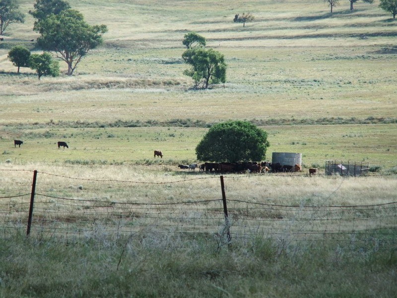Babinboon Babinboon Lane, Somerton NSW 2340