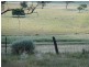 Babinboon Babinboon Lane, Somerton NSW 2340