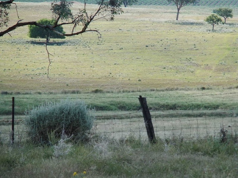 Babinboon Babinboon Lane, Somerton NSW 2340