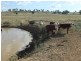 Babinboon Babinboon Lane, Somerton NSW 2340