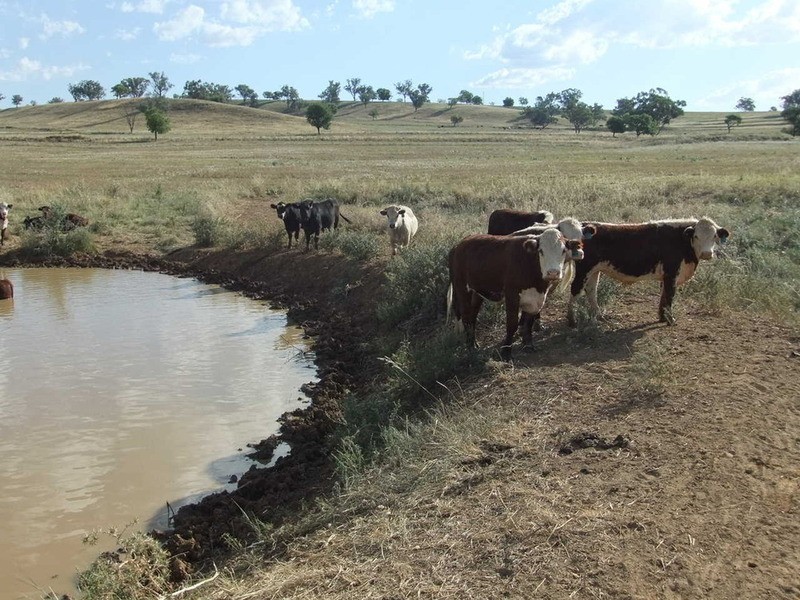 Babinboon Babinboon Lane, Somerton NSW 2340