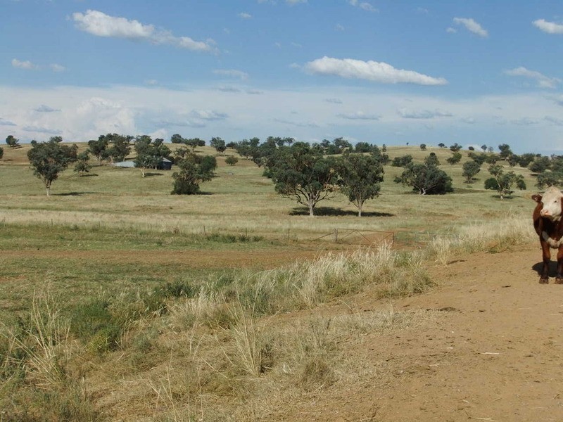 Babinboon Babinboon Lane, Somerton NSW 2340
