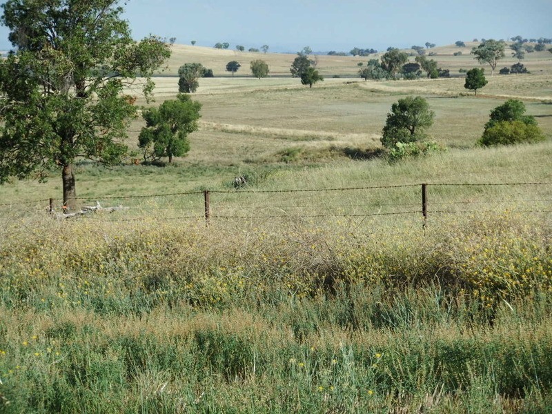 Babinboon Babinboon Lane, Somerton NSW 2340