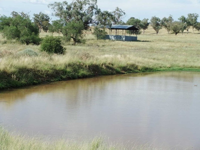 Babinboon Babinboon Lane, Somerton NSW 2340