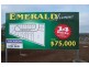14 Blocks – Emerald Ave Estate, Tamworth NSW 2340